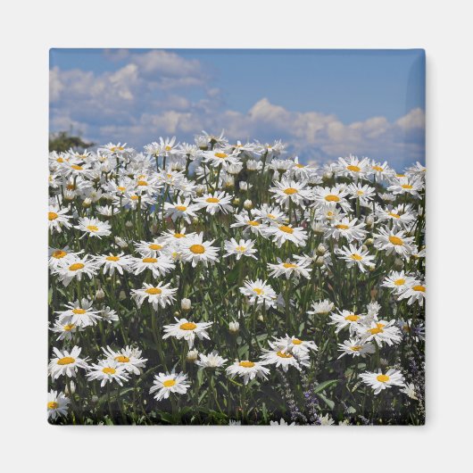 Schöner weißer Garten Magnet (Vorne)