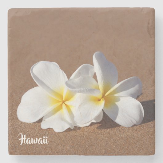 Schöner weißer hawaiischer Plumeria-Untersetzer Steinuntersetzer (Vorderseite)