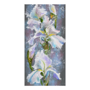 Schöner Weißer Iris Blumen Poster