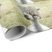Schöner weißer Llama Geschenkpapier (Rolleneckpunkt)