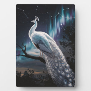 Schöner weißer Pfau Aurora Borealis Landschaft Fotoplatte