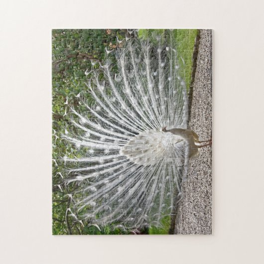 Schöner weißer Pfau mit vollem Federspread J Puzzle (Vertikal)