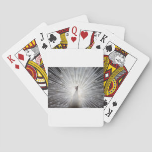 Schöner weißer Pfau Spielkarten
