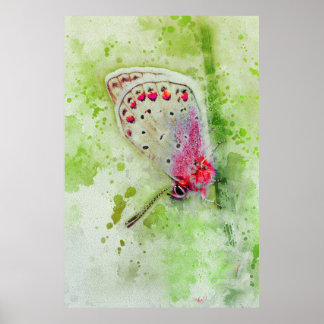 schöner weißer Schmetterling auf einem Stammbild Poster