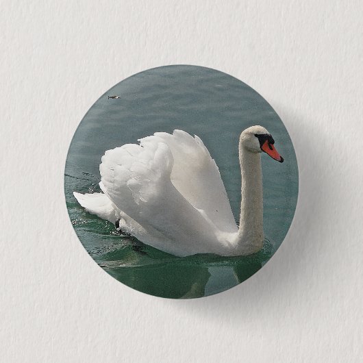 Schöner weißer Schwan Button (Vorderseite)
