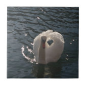 Schöner weißer Schwan Fliese (Vorderseite)
