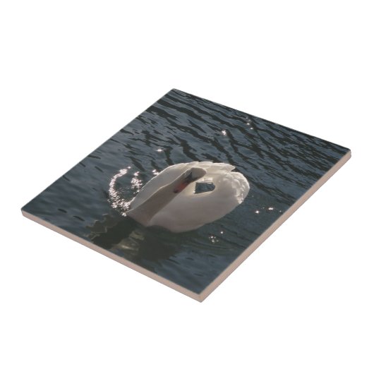 Schöner weißer Schwan Fliese (Seite)