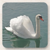 Schöner weißer Schwan Getränkeuntersetzer (Vorderseite)