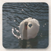 Schöner weißer Schwan Getränkeuntersetzer (Vorderseite)