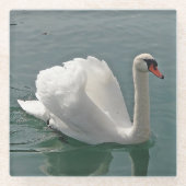Schöner weißer Schwan Glasuntersetzer (Vorderseite)