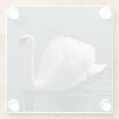 Schöner weißer Schwan Glasuntersetzer (Rückseite)