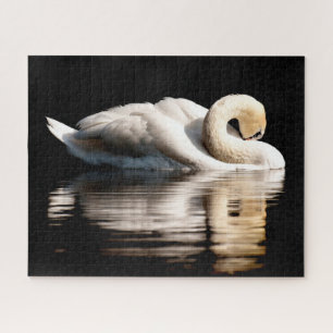 Schöner weißer Schwan, Jigsaw Puzzle