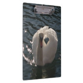 Schöner weißer Schwan Klemmbrett (Rechts)