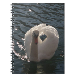 Schöner weißer Schwan Notizblock
