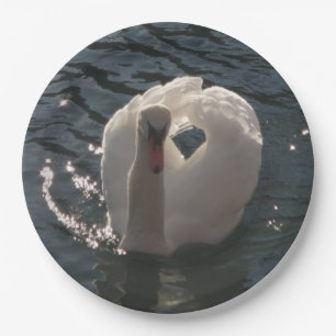 Schöner weißer Schwan Pappteller