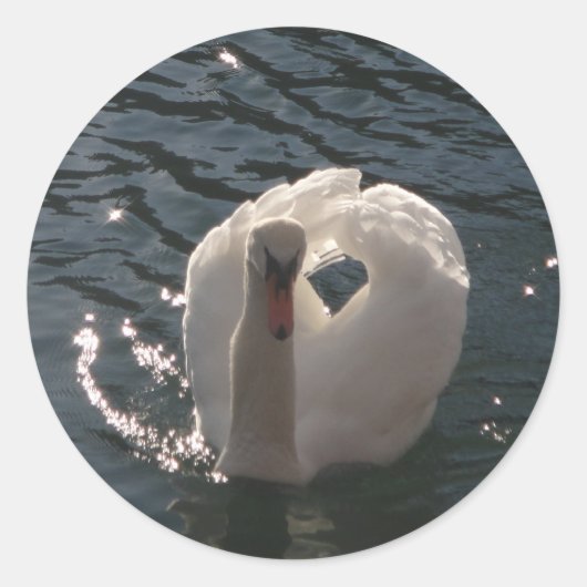 Schöner weißer Schwan Runder Aufkleber (Vorderseite)