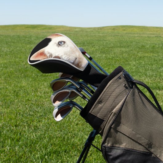 Schöner weißer sibirischer Husky Dog Golf Headcover (In SItu)