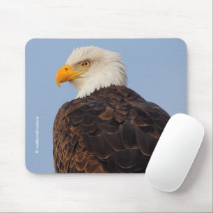 Schöner Weißkopfseeadler in einem Baum Mousepad