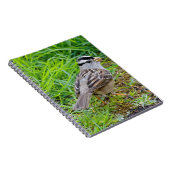 Schöner Weißkronenspieß im Gras Notizblock (Rechte Seite)