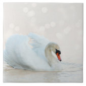 Schöner Weißschwan auf Weiß Fliese (Vorderseite)