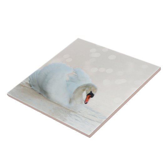 Schöner Weißschwan auf Weiß Fliese (Seite)