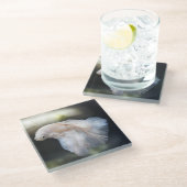 Schöner Weißsiameer Betta Fighting Fish Glasuntersetzer (Schrägansicht)