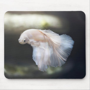 Schöner Weißsiameer Betta Fighting Fish Mousepad