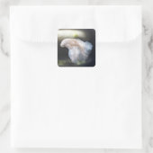 Schöner Weißsiameer Betta Fighting Fish Quadratischer Aufkleber (Tasche)