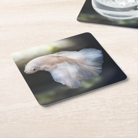 Schöner Weißsiameer Betta Fighting Fish Rechteckiger Pappuntersetzer (angewinkelt)