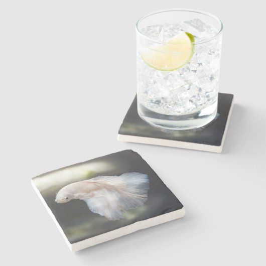 Schöner Weißsiameer Betta Fighting Fish Steinuntersetzer (Seitenansicht)