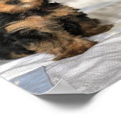 Schöner Welpe Poster (Ecke)