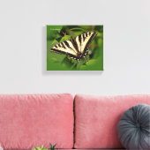 Schöner Western Tiger Frack Butterfly Leinwanddruck (Insitu (Wohnzimmer))