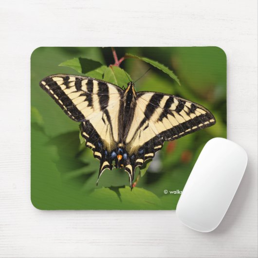 Schöner Western Tiger Frack Butterfly Mousepad (Mit Mouse)