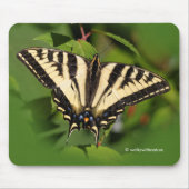 Schöner Western Tiger Frack Butterfly Mousepad (Vorne)