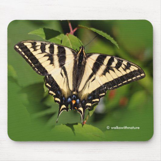 Schöner Western Tiger Frack Butterfly Mousepad (Vorne)