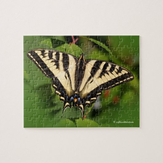 Schöner Western Tiger Frack Butterfly Puzzle (Horizontal)
