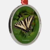 Schöner Western Tiger Frack Butterfly Silbernes Ornament (Rechts)