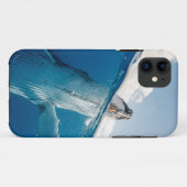 Schöner Whale Case-Mate iPhone Hülle (Rückseite (Horizontal))