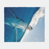 Schöner Whale Fleecedecke (Vorderseite (Horizontal))
