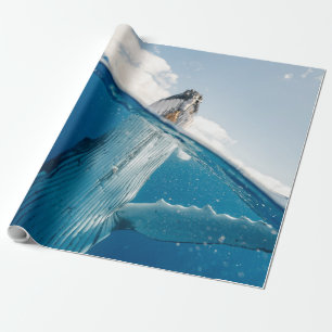 Schöner Whale Geschenkpapier