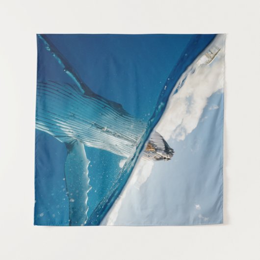 Schöner Whale Wandteppich (Vorderseite (Horizontal))