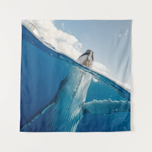 Schöner Whale Wandteppich (Vorderseite)