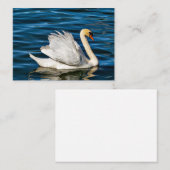 Schöner White Swan Mitteilungskarte (Vorne/Hinten)