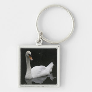 Schöner White Swan Schlüsselanhänger