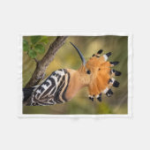 Schöner Wiedehopf-Vogel-Decke Fleecedecke (Vorderseite (Horizontal))