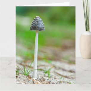 Schöner Wildpilz auf einem Herbstfeld Dankeskarte