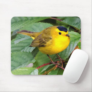 Schöner Wilson's Warbler Songbird in Cherry Tree Mousepad
