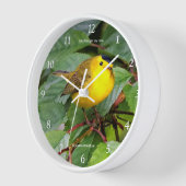 Schöner Wilson's Warbler Songbird in Cherry Tree Uhr (Winkel)