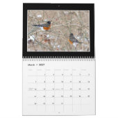 Schöner Winterkalender 2020 von Tom Minutolo Kalender (Mär 2027)