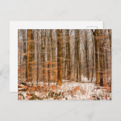 Schöner Winterwald mit Schnee Postkarte (Vorne/Hinten)